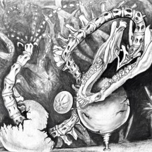 Boar Jaw Spinal Column Charcoal Drawing