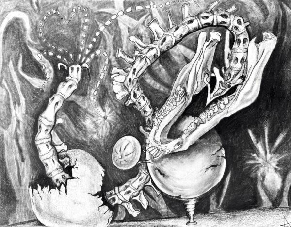 Boar Jaw Spinal Column Charcoal Drawing