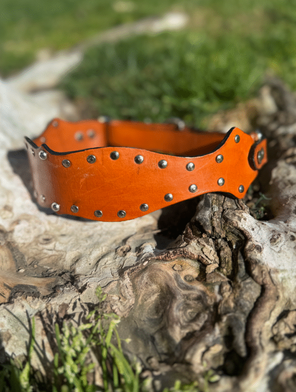Western Studded Dog Collar - Image 2