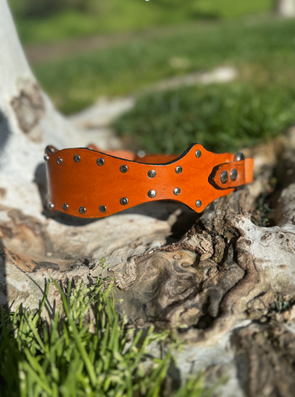 Western Studded Dog Collar - Image 3