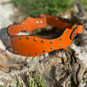 Western Studded Dog Collar