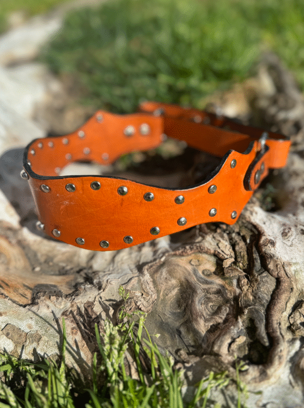 Western Studded Dog Collar
