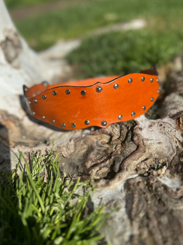 Western Studded Dog Collar - Image 6