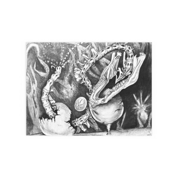 Boar Jaw Spinal Column Charcoal Drawing - Image 5